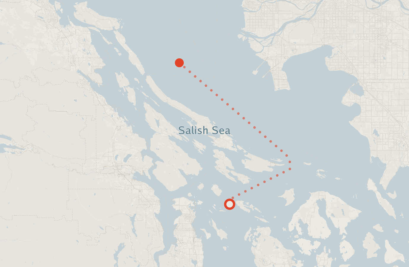Activity map — real sighting points on an OpenStreetMap basemap