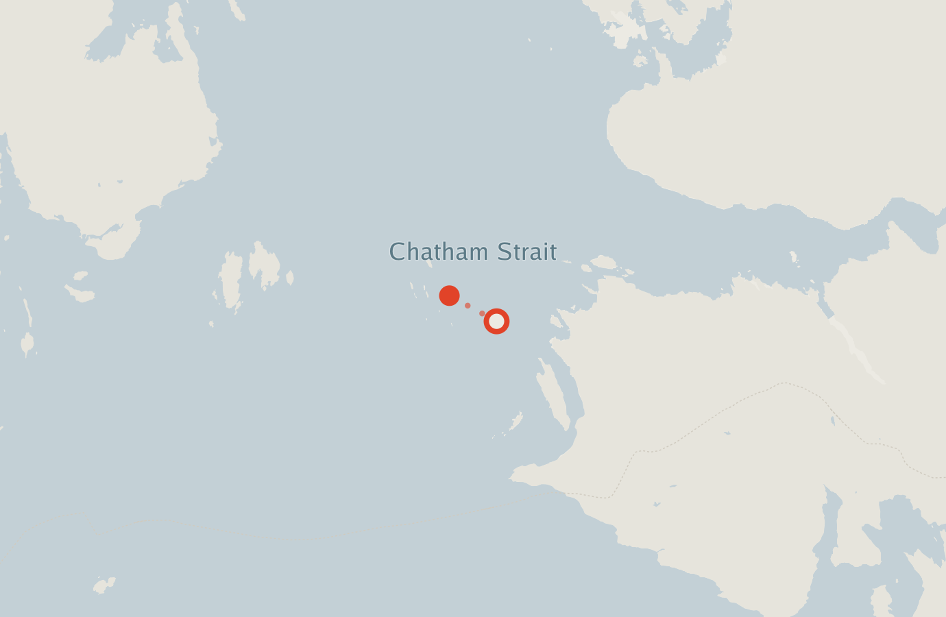 Activity map — real sighting points on an OpenStreetMap basemap