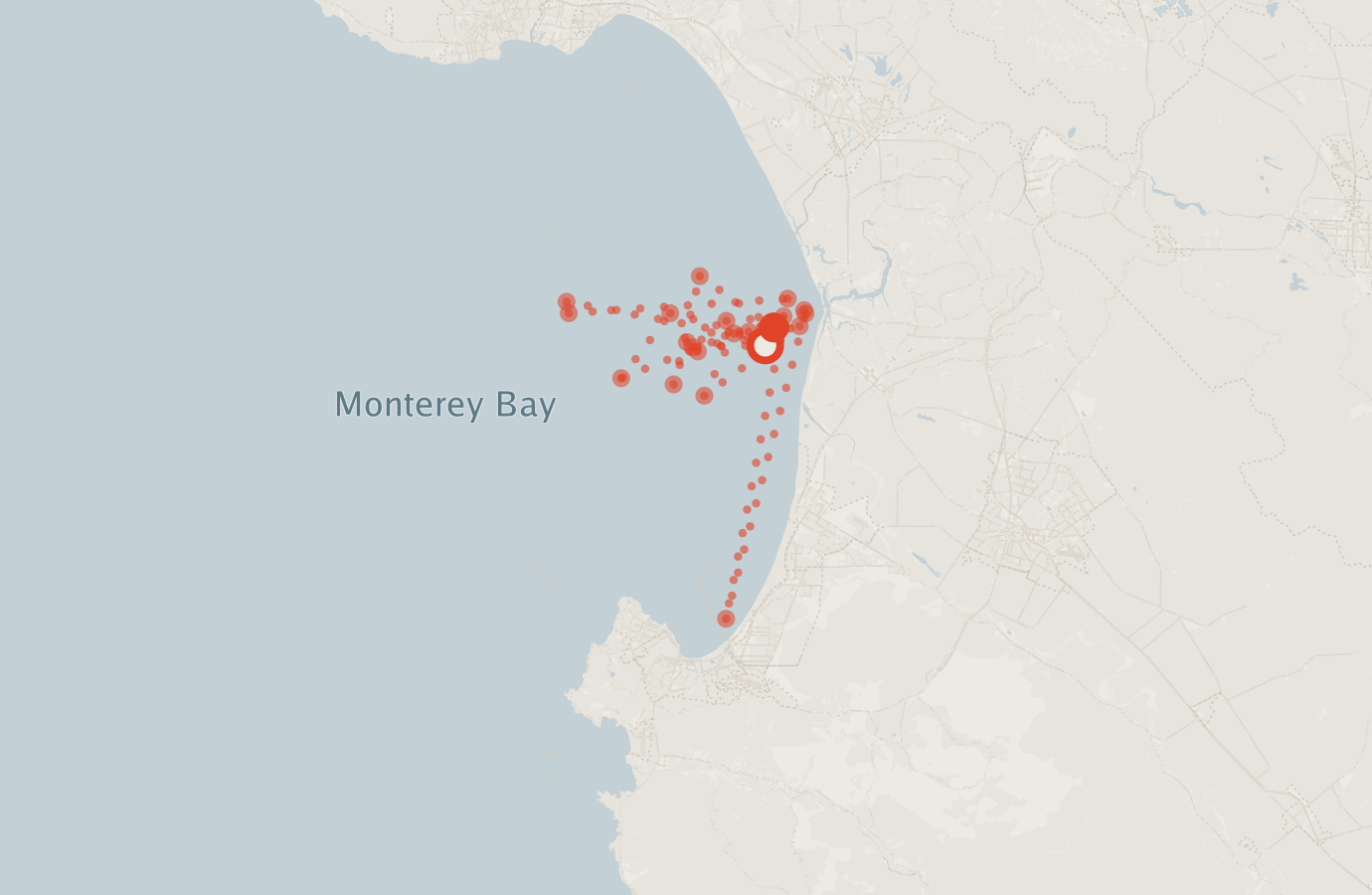 Activity map — real sighting points on an OpenStreetMap basemap