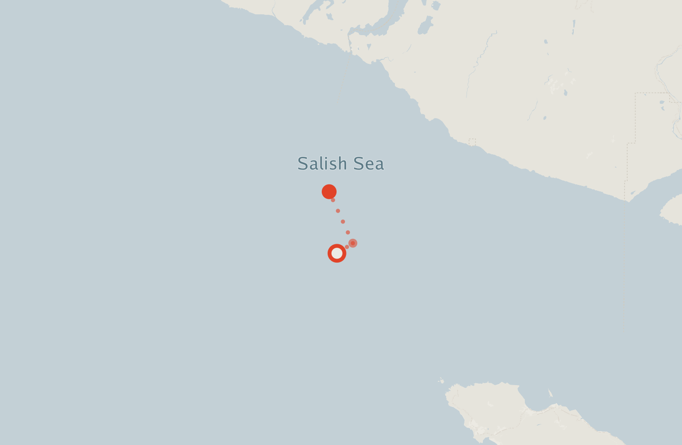 Activity map — real sighting points on an OpenStreetMap basemap