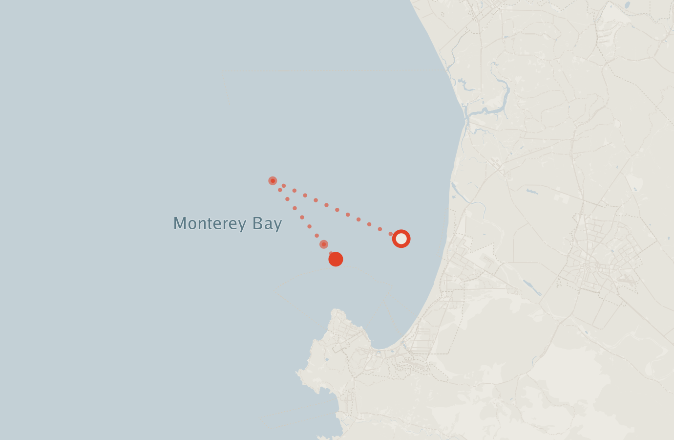 Activity map — real sighting points on an OpenStreetMap basemap