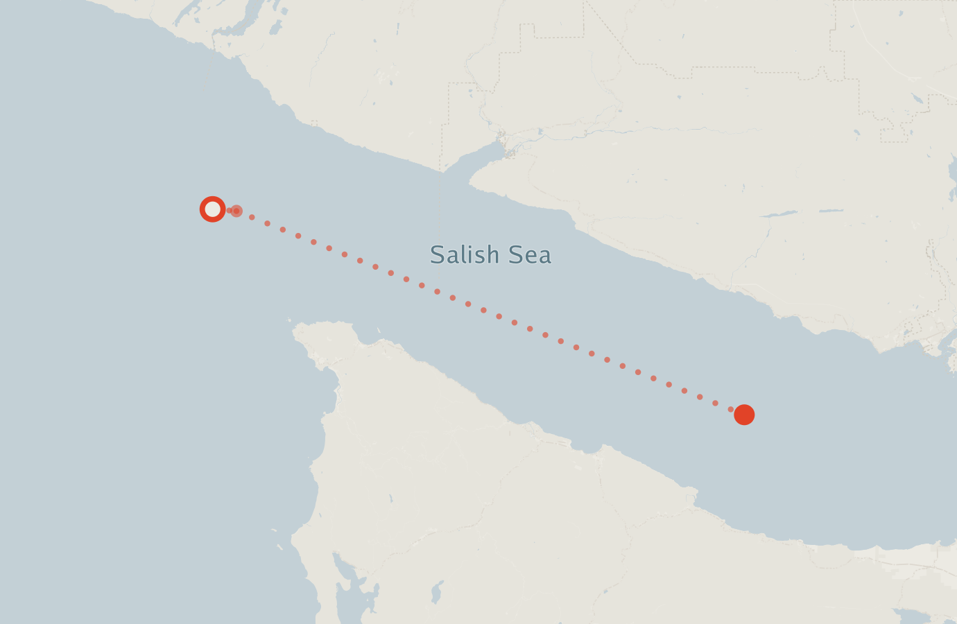 Activity map — real sighting points on an OpenStreetMap basemap