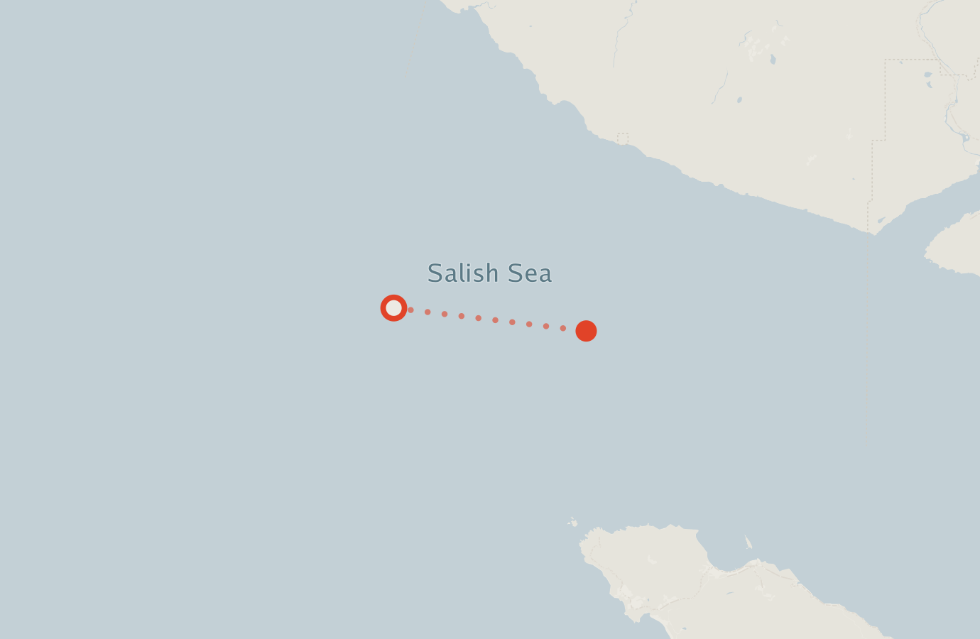 Activity map — real sighting points on an OpenStreetMap basemap