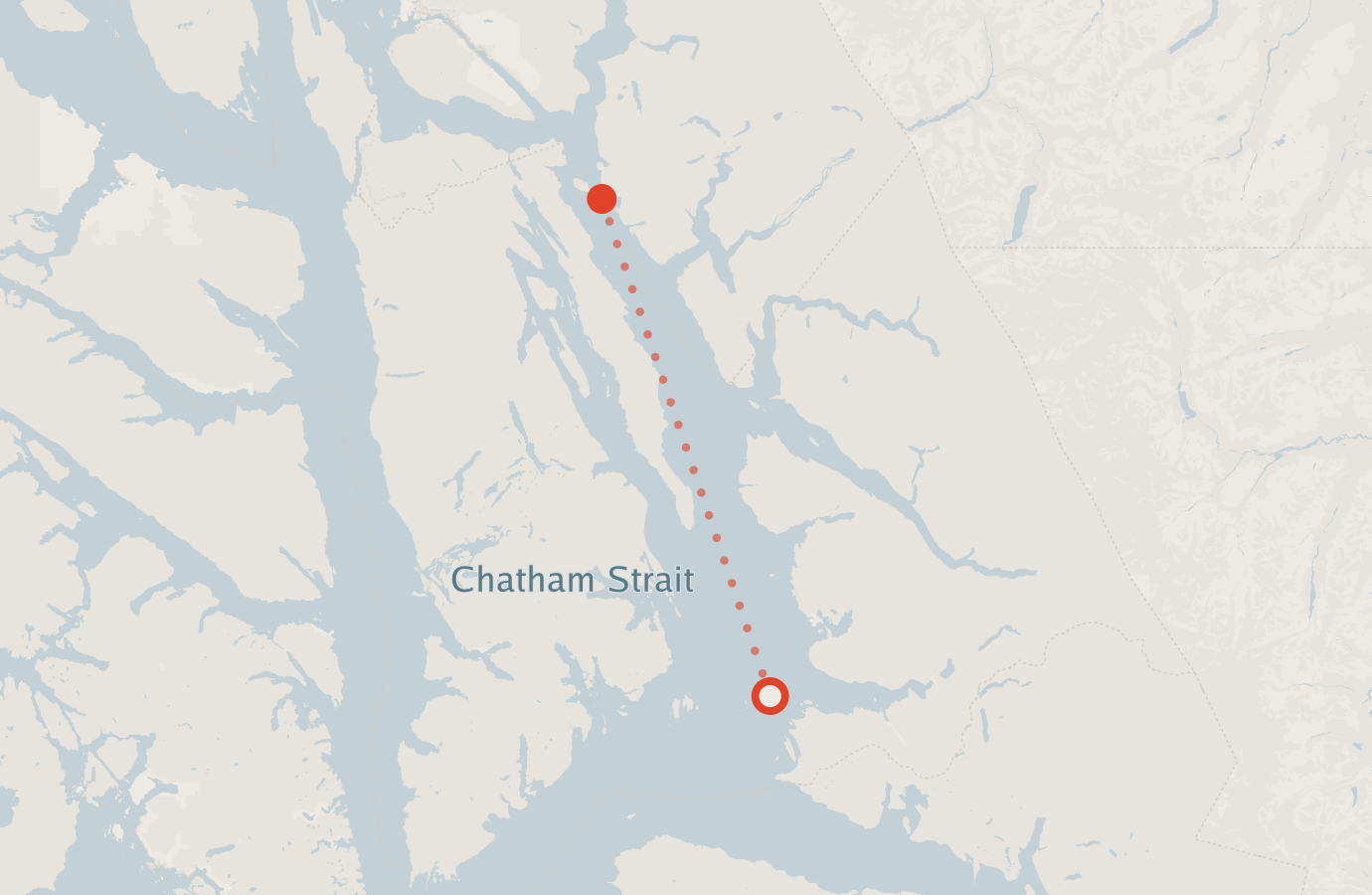 Activity map — real sighting points on an OpenStreetMap basemap