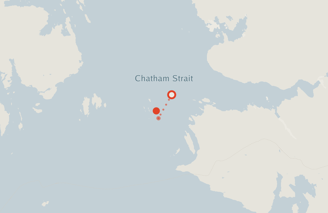 Activity map — real sighting points on an OpenStreetMap basemap