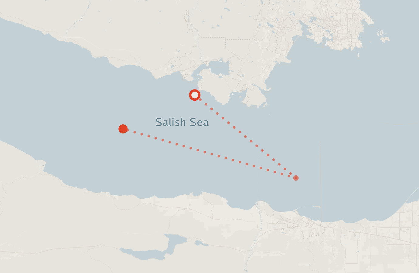 Activity map — real sighting points on an OpenStreetMap basemap