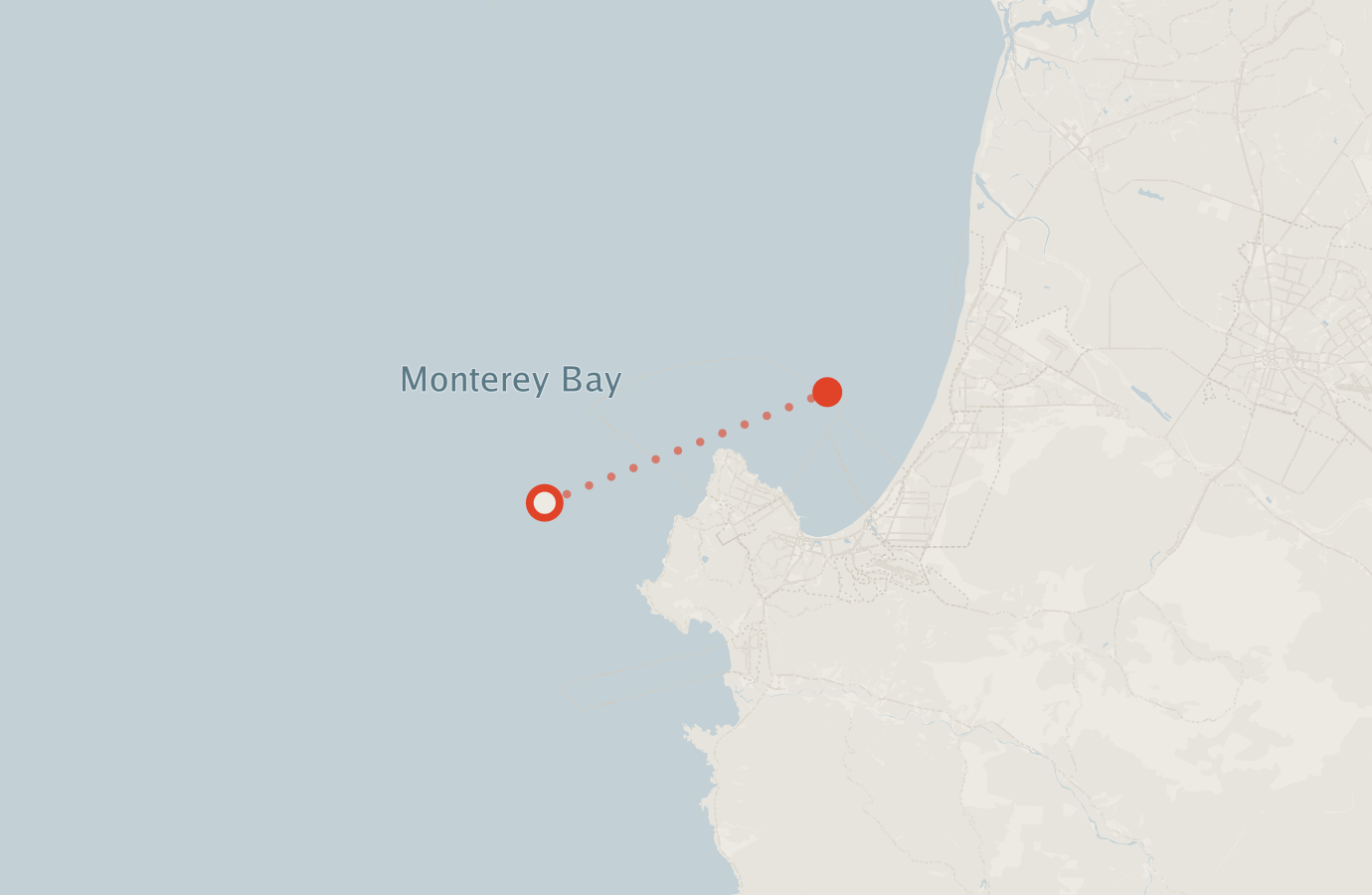Activity map — real sighting points on an OpenStreetMap basemap