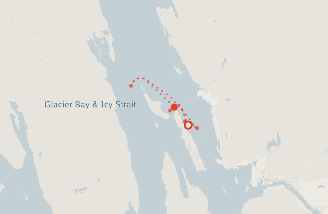 Activity map — real sighting points on an OpenStreetMap basemap