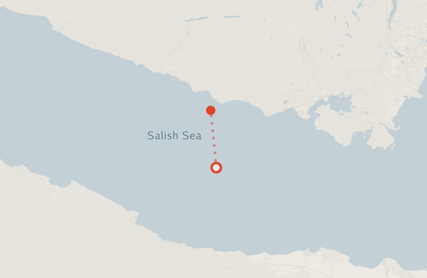Activity map — real sighting points on an OpenStreetMap basemap