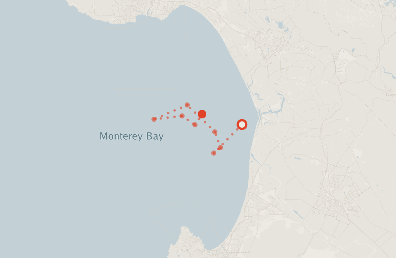 Activity map — real sighting points on an OpenStreetMap basemap