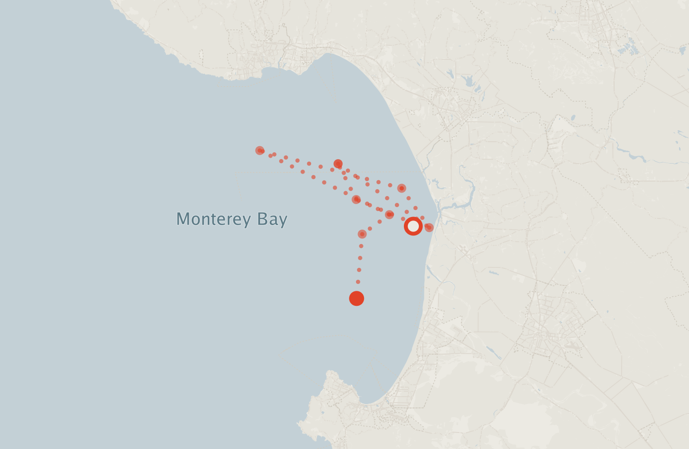 Activity map — real sighting points on an OpenStreetMap basemap
