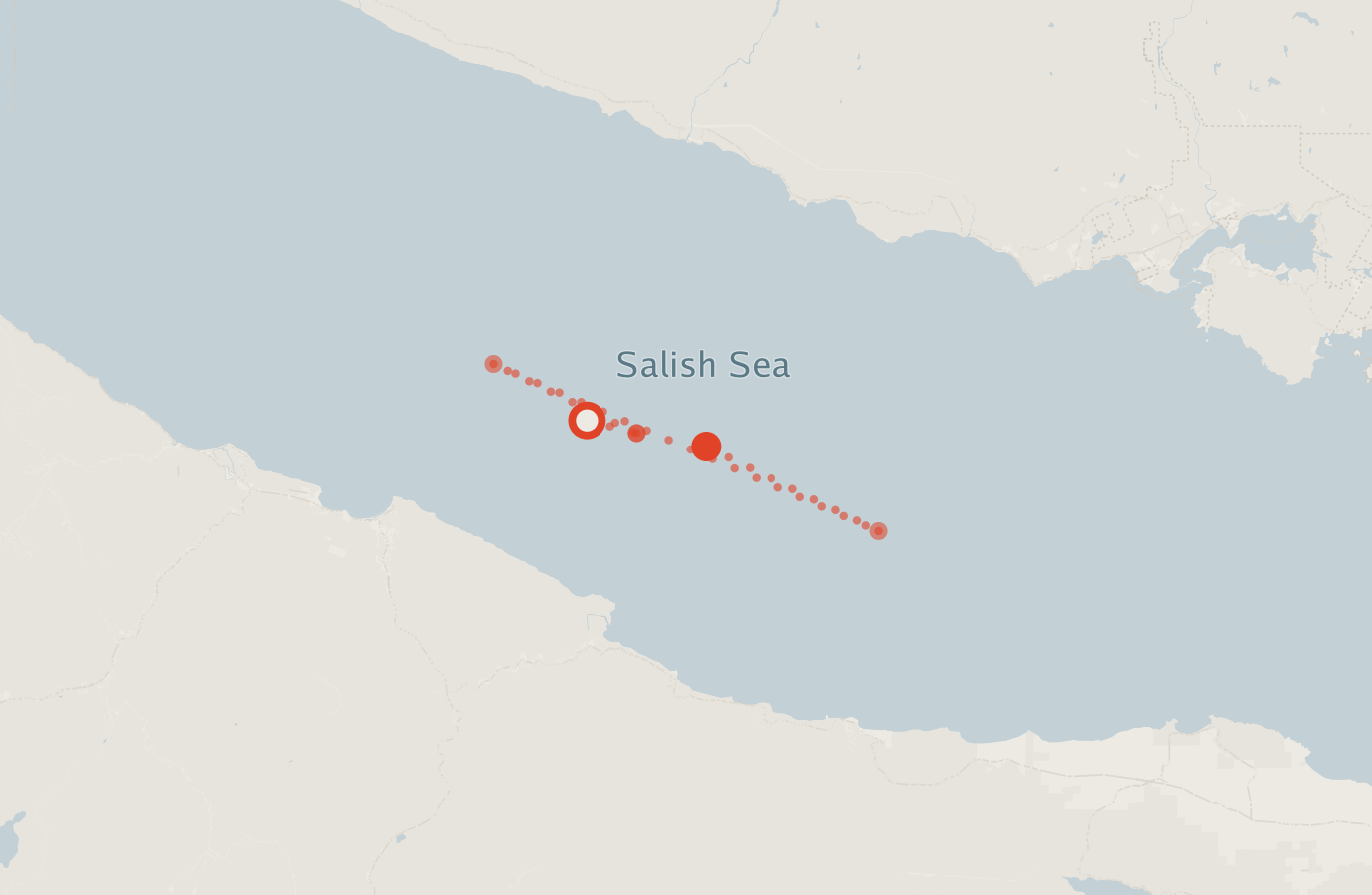 Activity map — real sighting points on an OpenStreetMap basemap