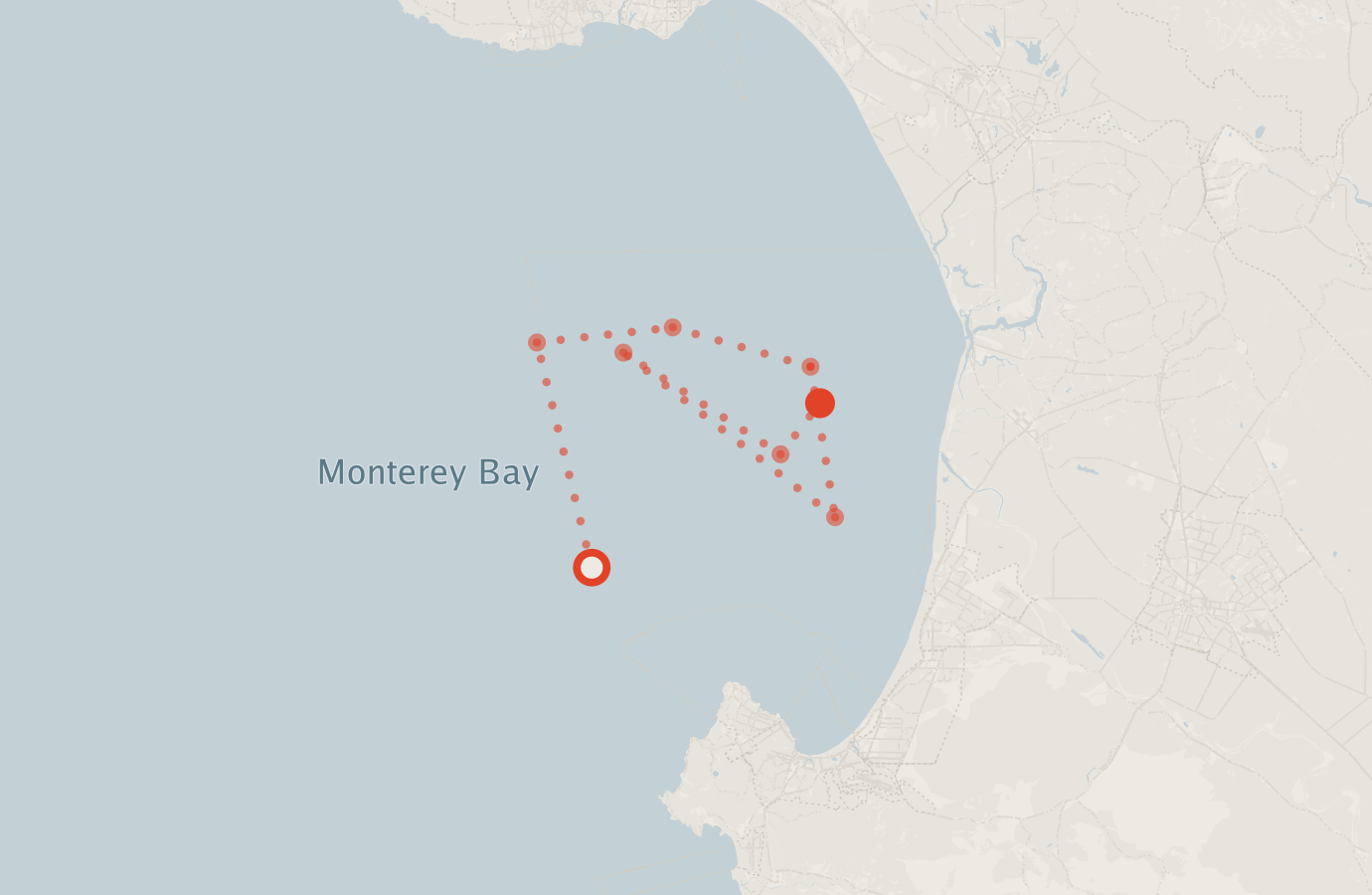 Activity map — real sighting points on an OpenStreetMap basemap
