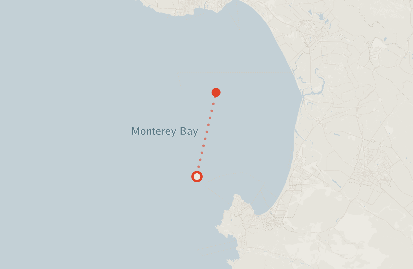 Activity map — real sighting points on an OpenStreetMap basemap