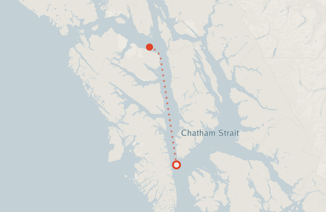 Activity map — real sighting points on an OpenStreetMap basemap