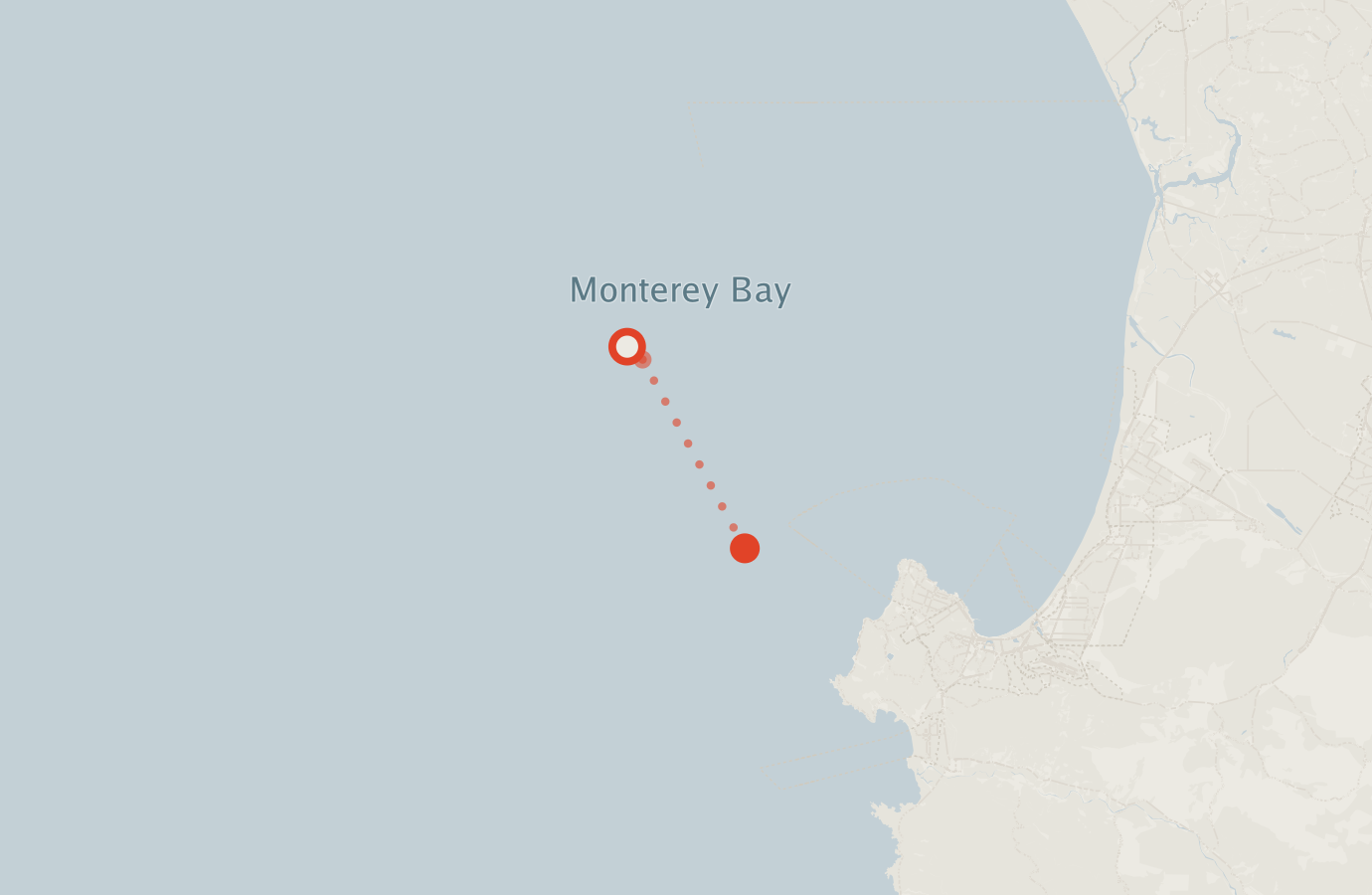 Activity map — real sighting points on an OpenStreetMap basemap