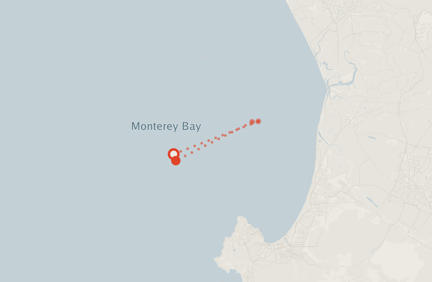 Activity map — real sighting points on an OpenStreetMap basemap