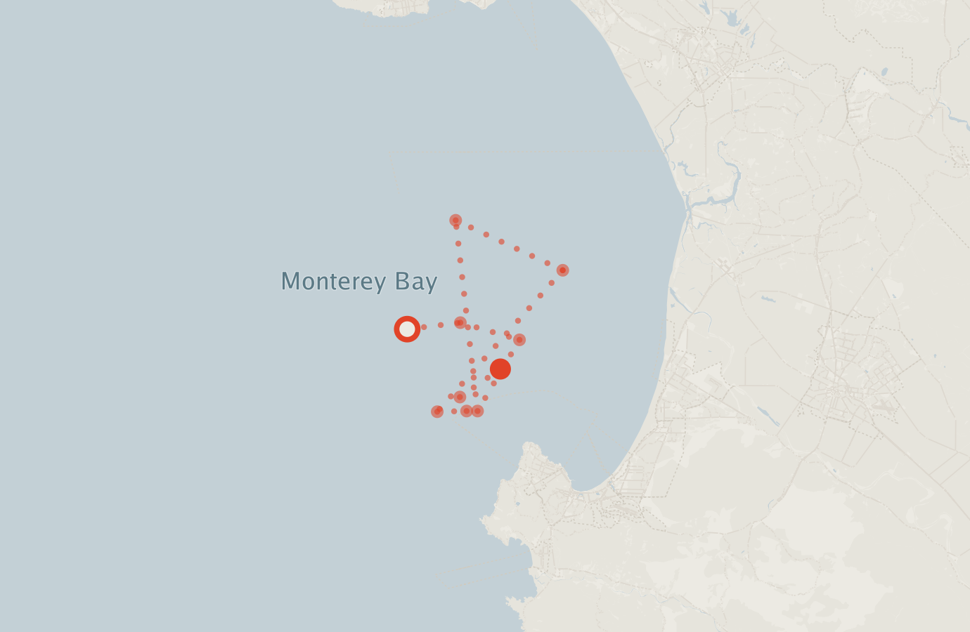 Activity map — real sighting points on an OpenStreetMap basemap