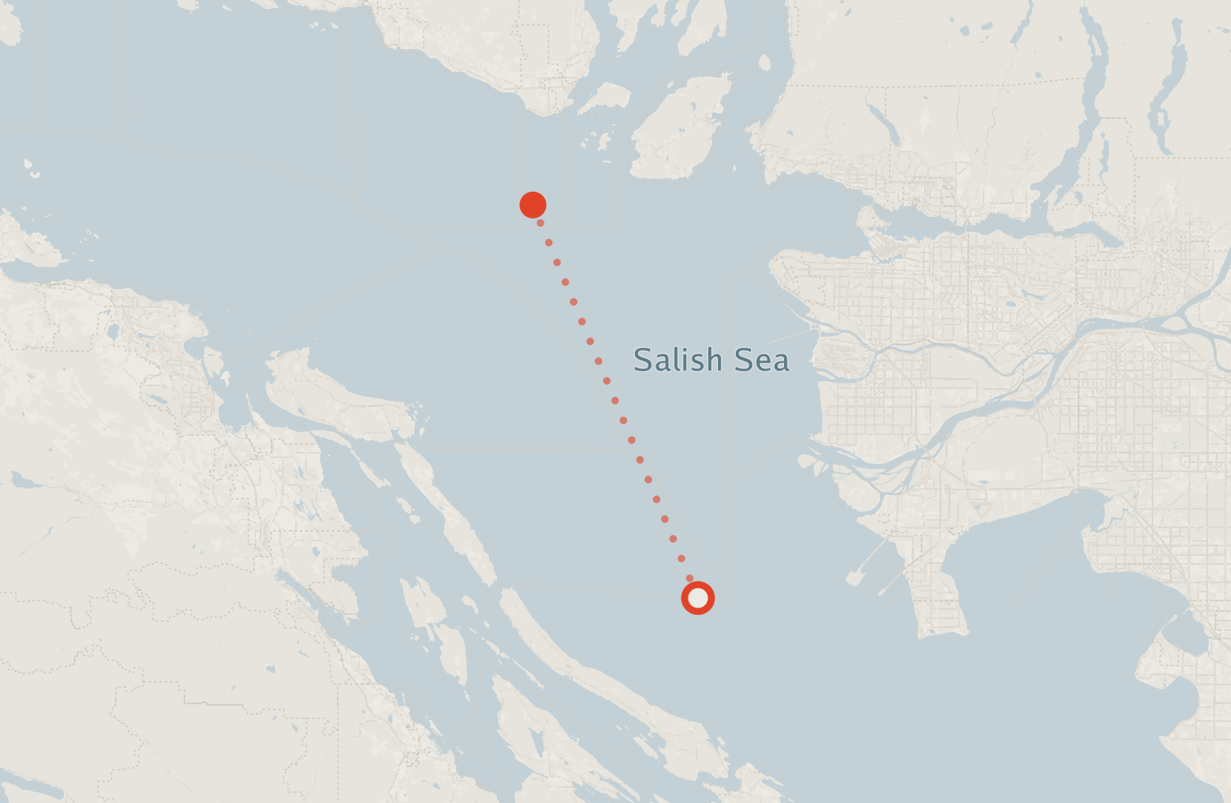 Activity map — real sighting points on an OpenStreetMap basemap