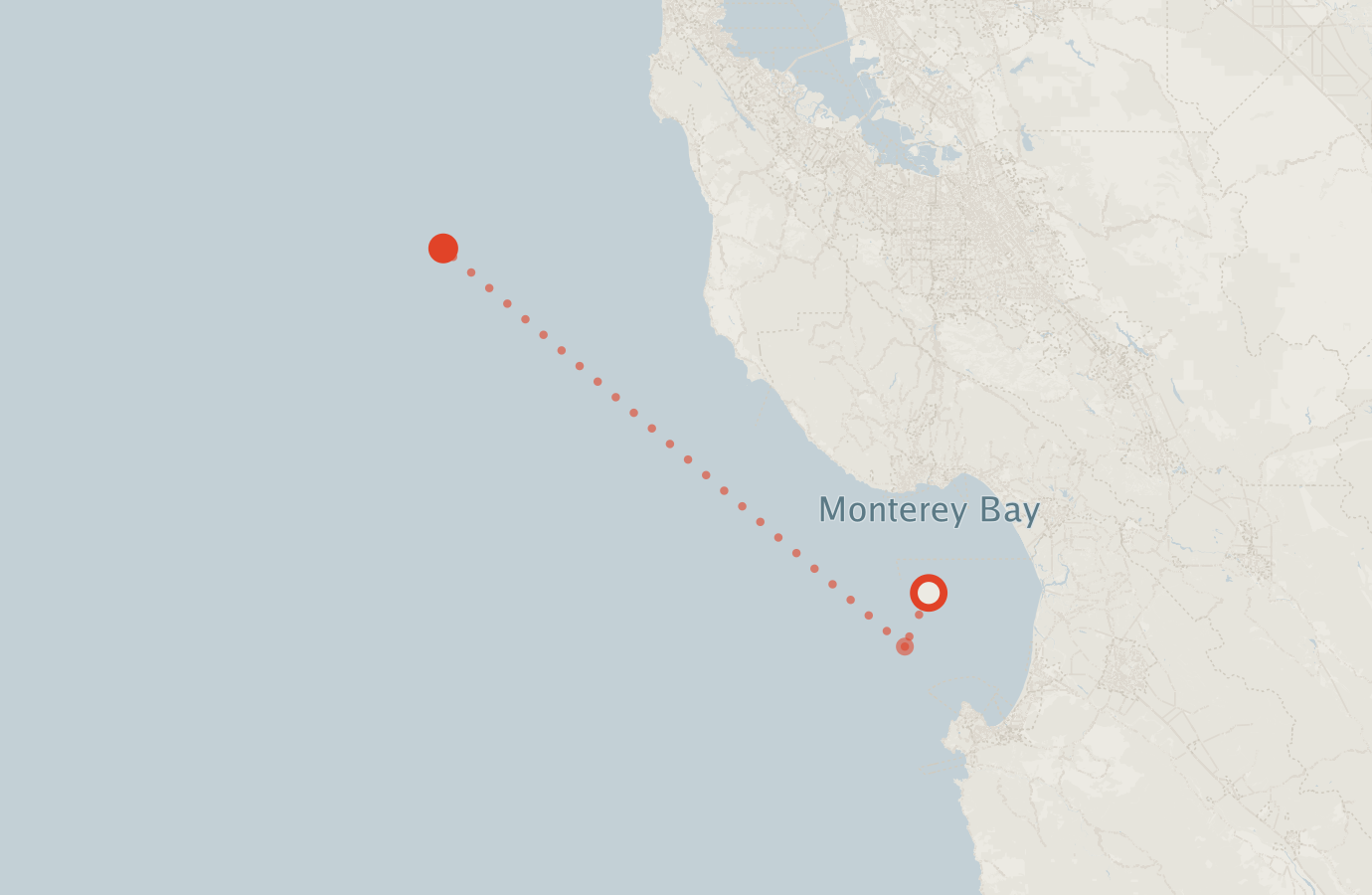 Activity map — real sighting points on an OpenStreetMap basemap