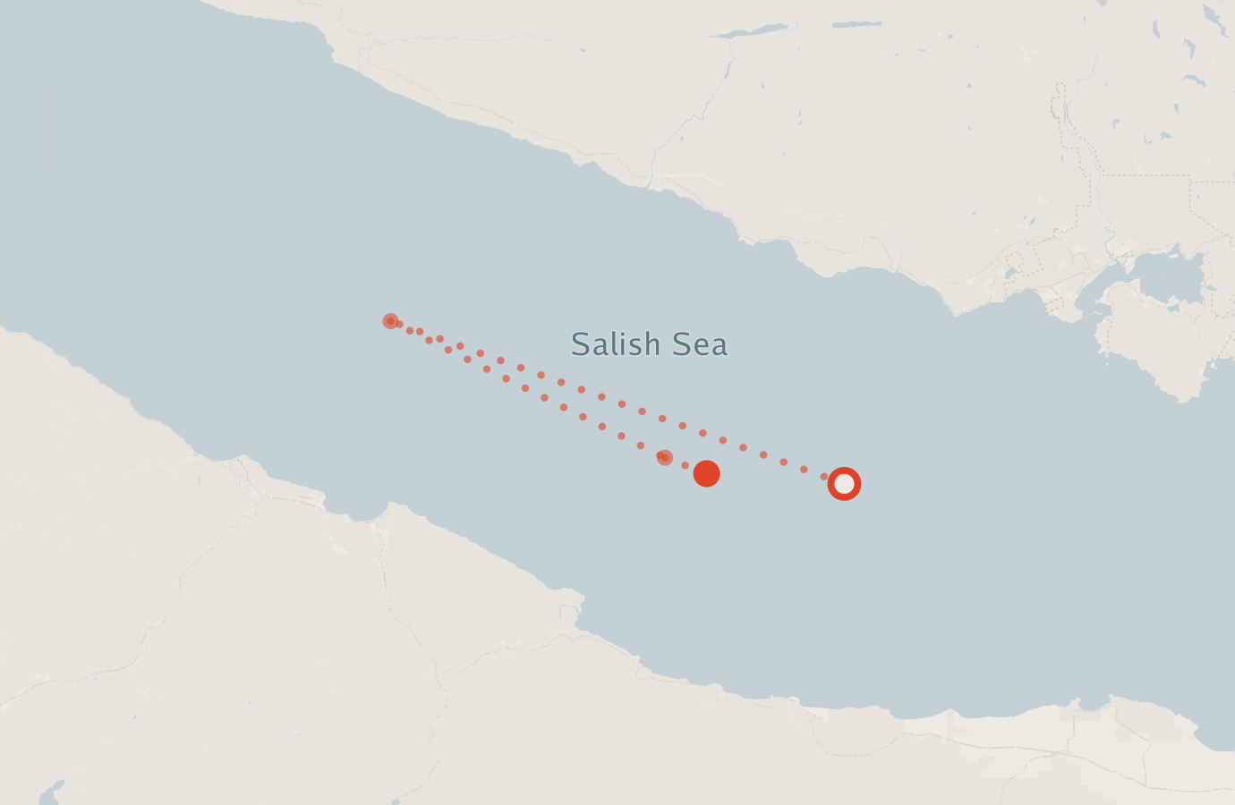 Activity map — real sighting points on an OpenStreetMap basemap