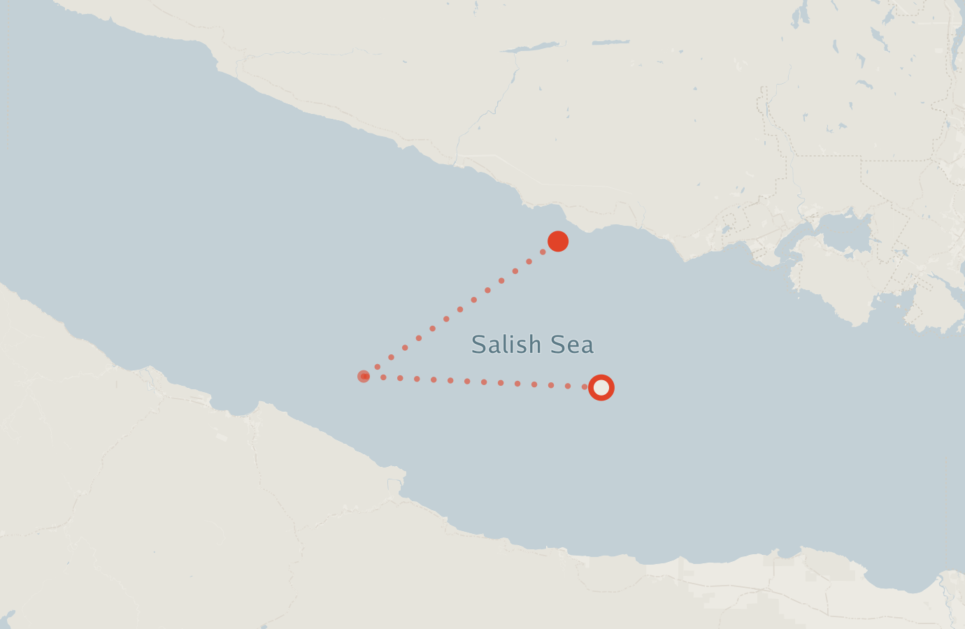 Activity map — real sighting points on an OpenStreetMap basemap