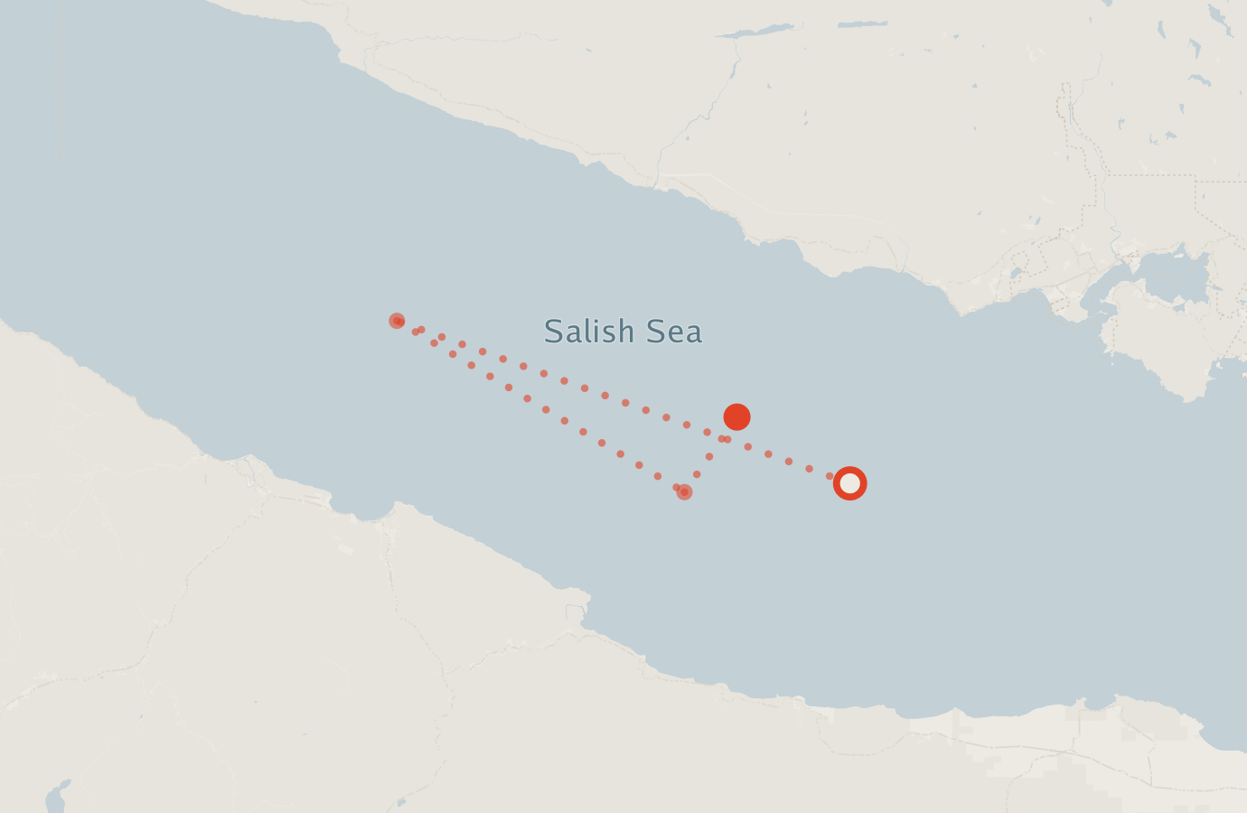 Activity map — real sighting points on an OpenStreetMap basemap