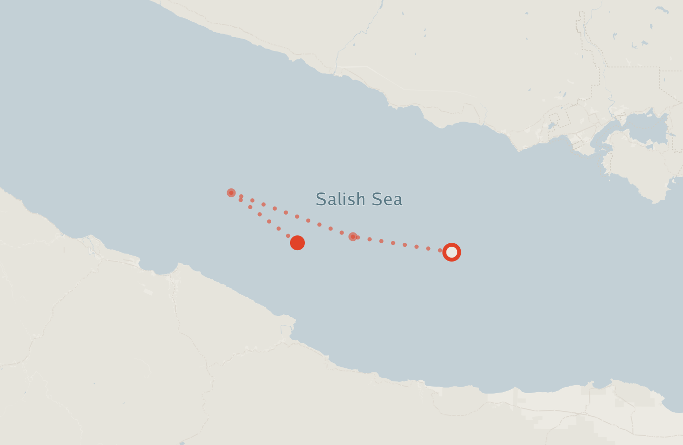 Activity map — real sighting points on an OpenStreetMap basemap