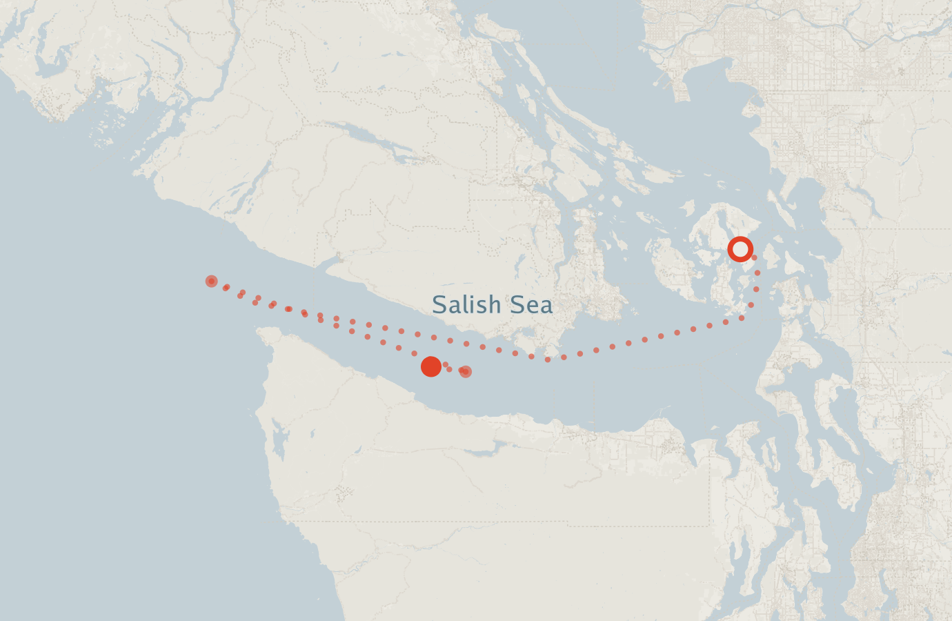 Activity map — real sighting points on an OpenStreetMap basemap