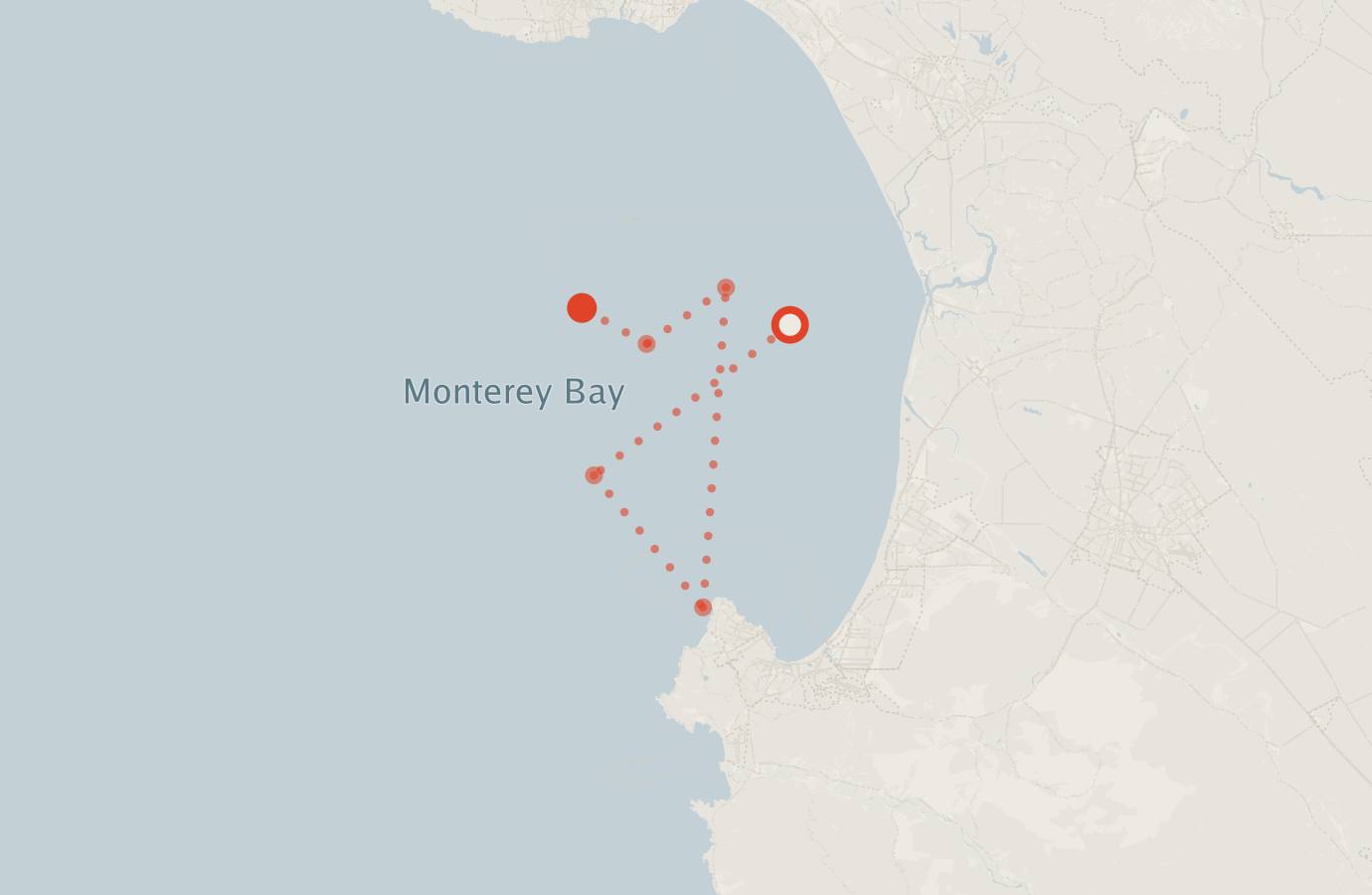 Activity map — real sighting points on an OpenStreetMap basemap