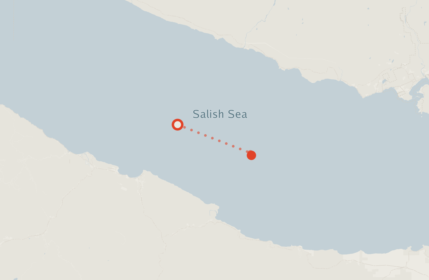 Activity map — real sighting points on an OpenStreetMap basemap