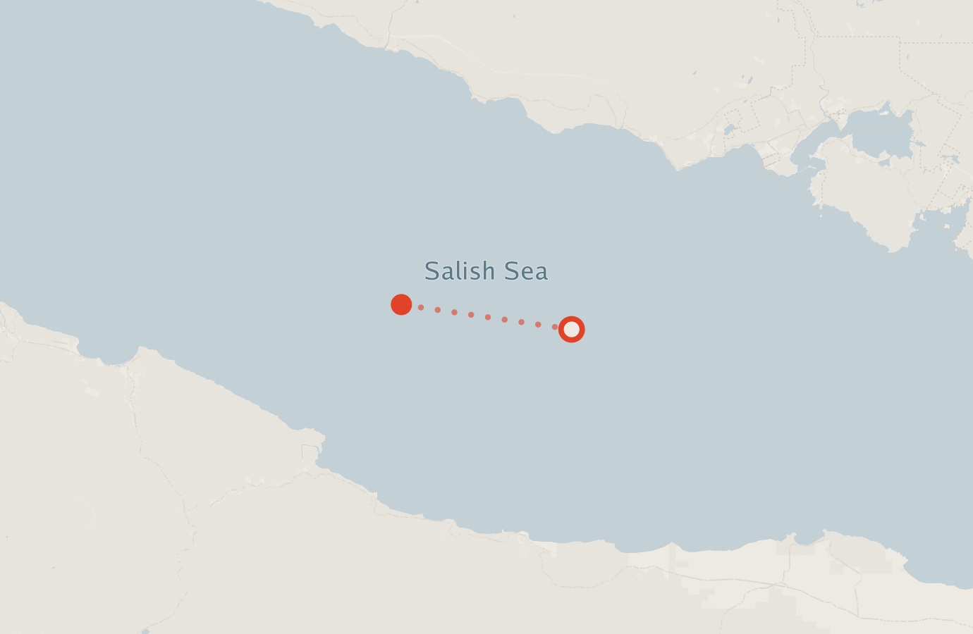 Activity map — real sighting points on an OpenStreetMap basemap