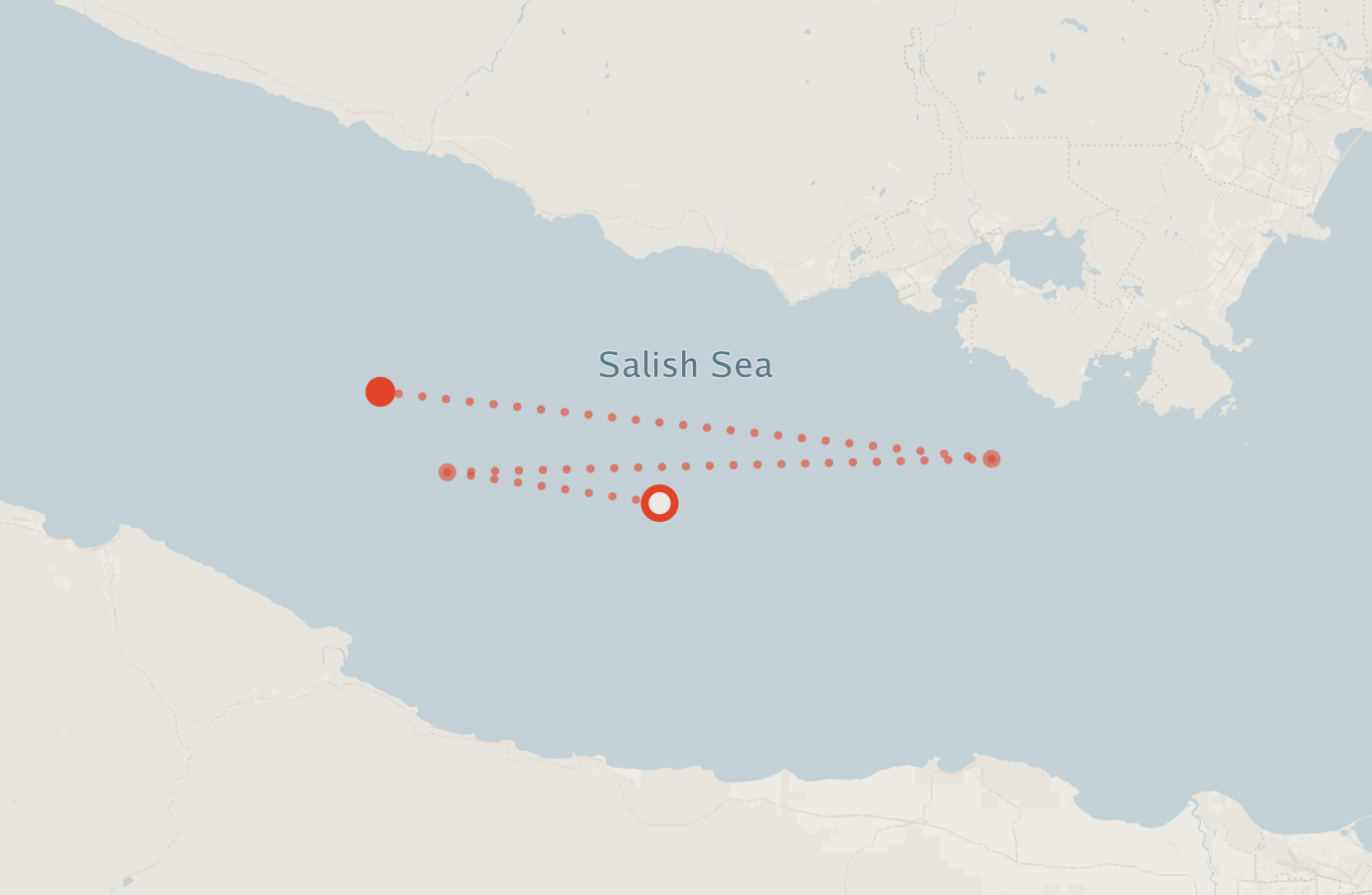 Activity map — real sighting points on an OpenStreetMap basemap