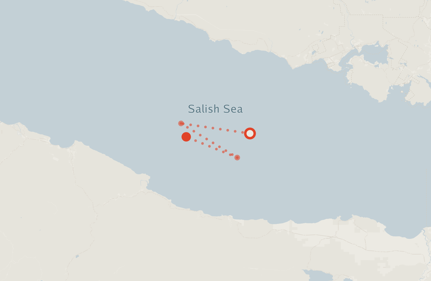 Activity map — real sighting points on an OpenStreetMap basemap