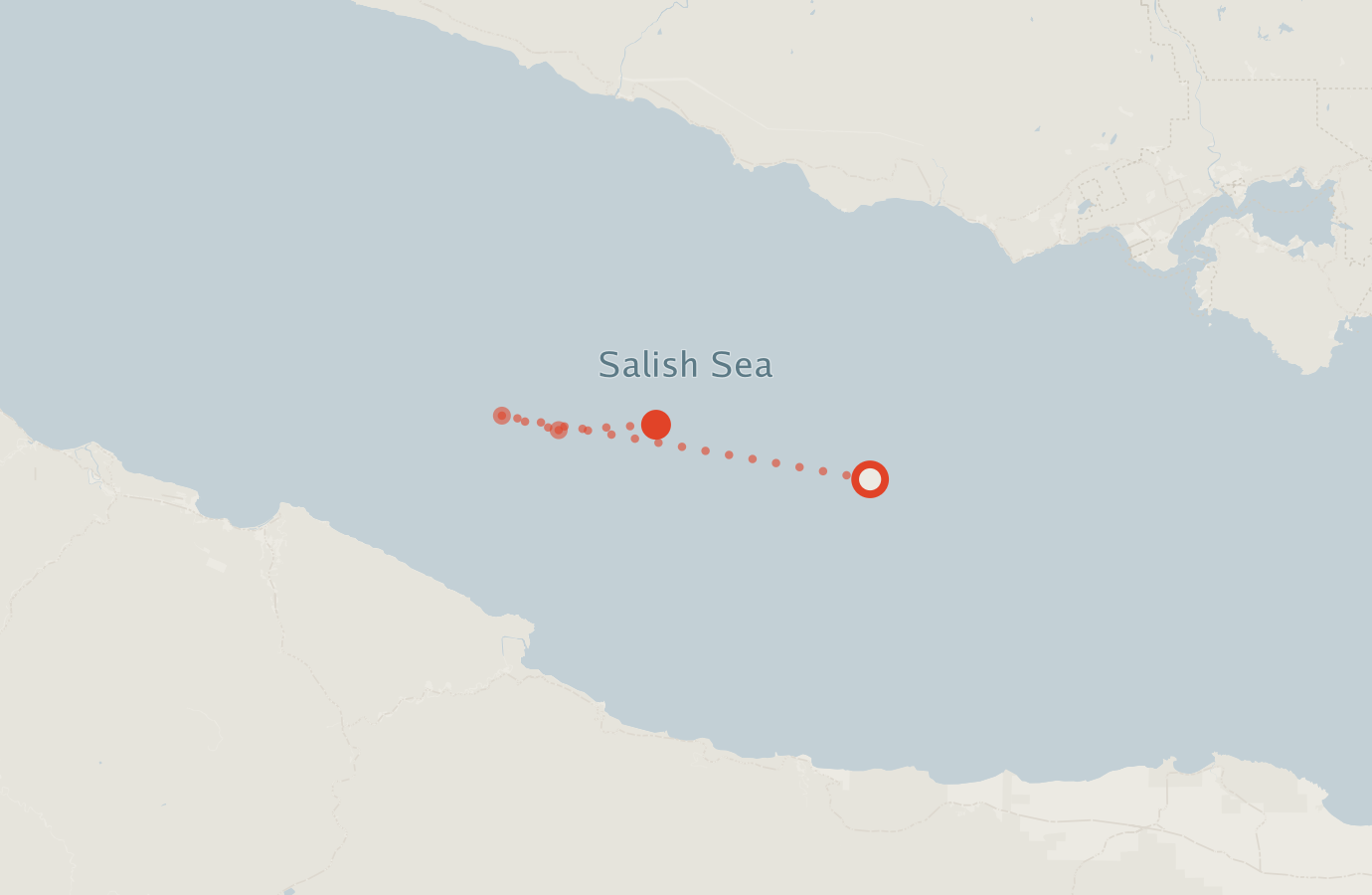 Activity map — real sighting points on an OpenStreetMap basemap