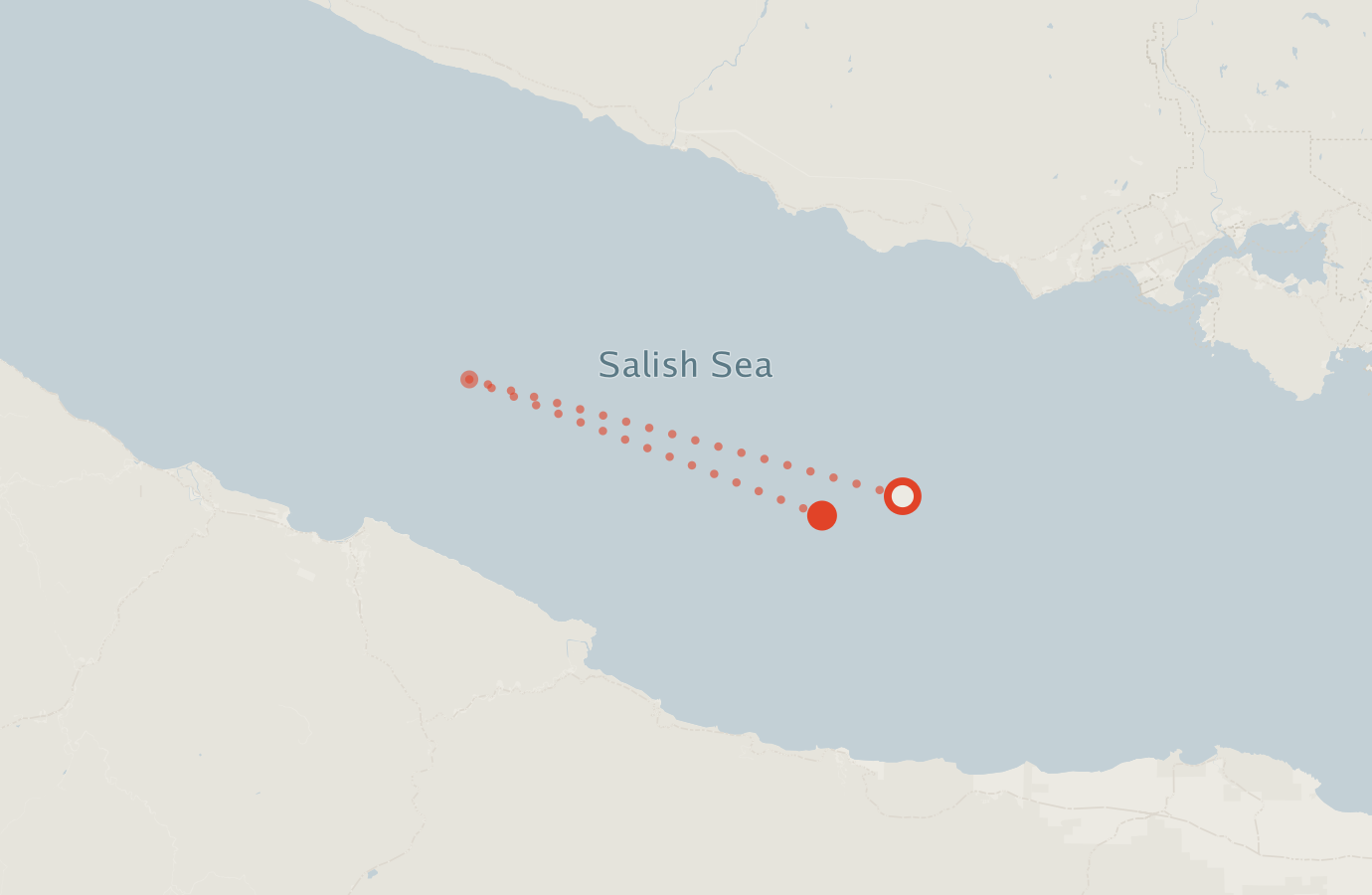 Activity map — real sighting points on an OpenStreetMap basemap