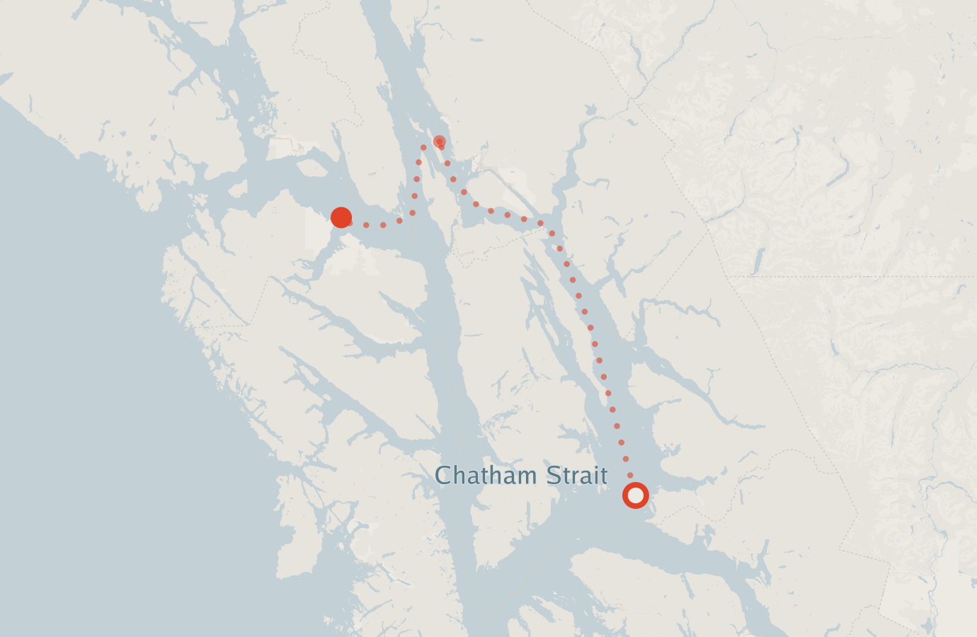 Activity map — real sighting points on an OpenStreetMap basemap