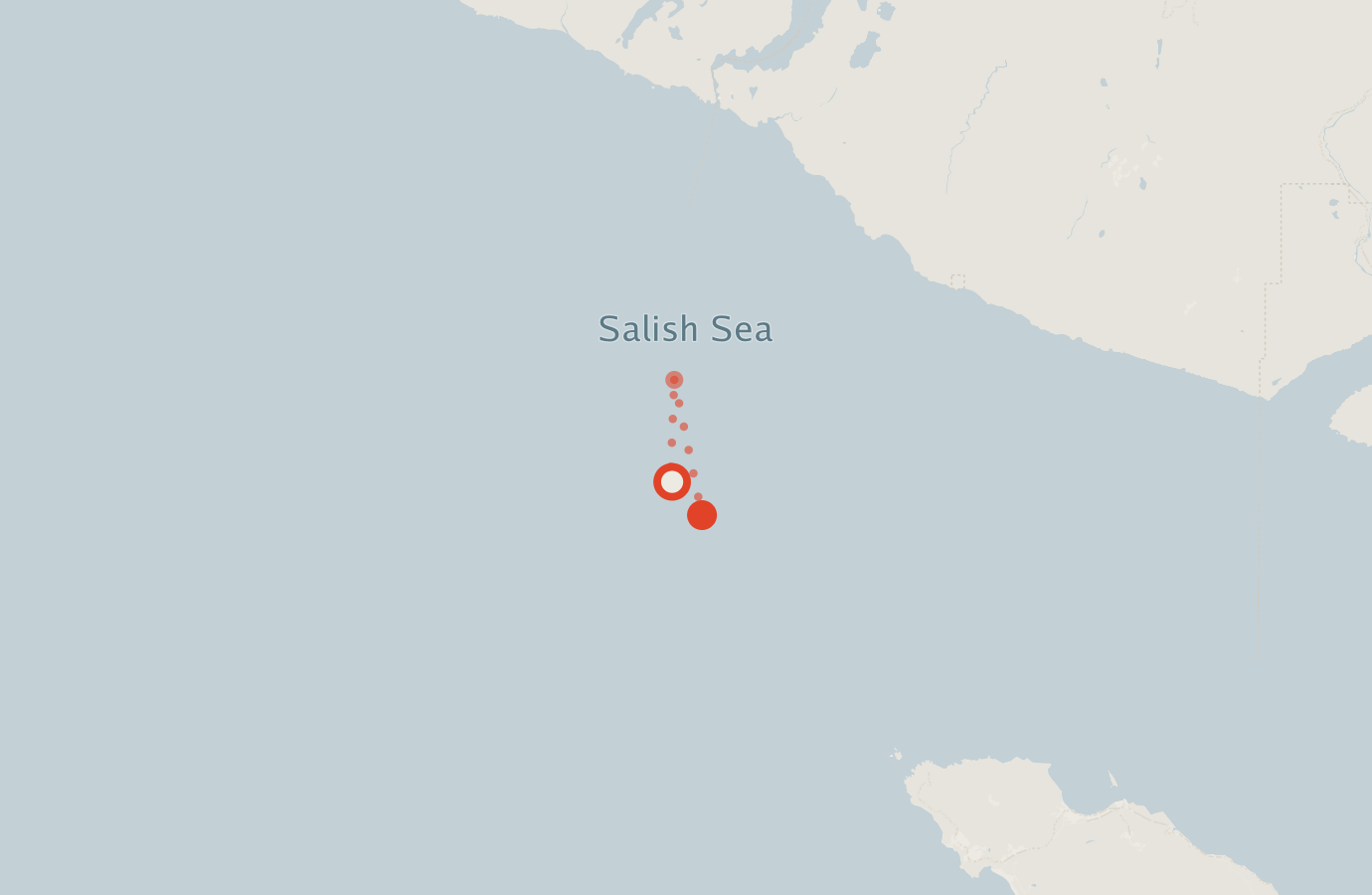 Activity map — real sighting points on an OpenStreetMap basemap