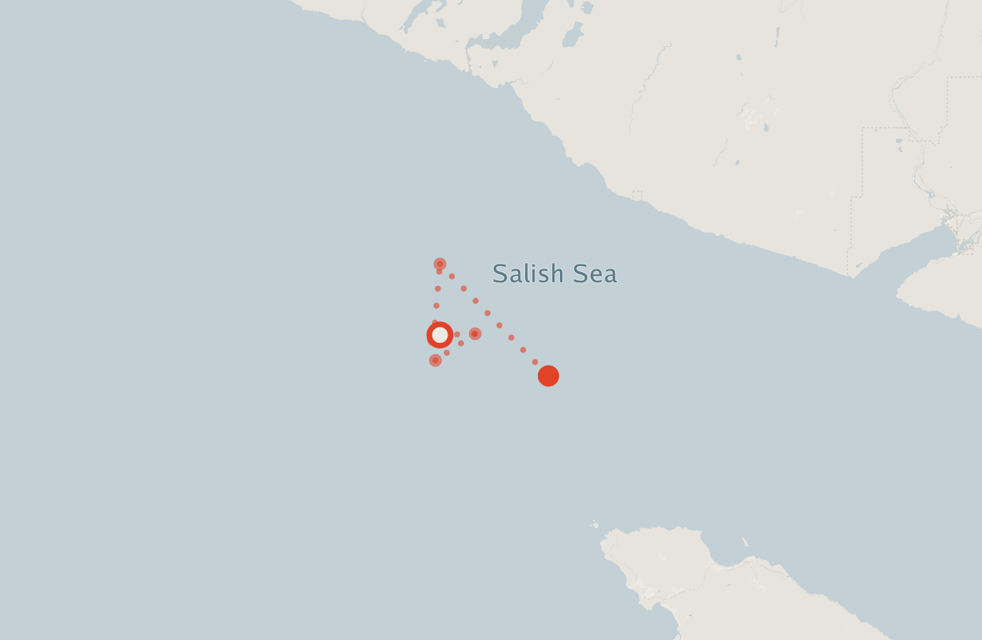 Activity map — real sighting points on an OpenStreetMap basemap