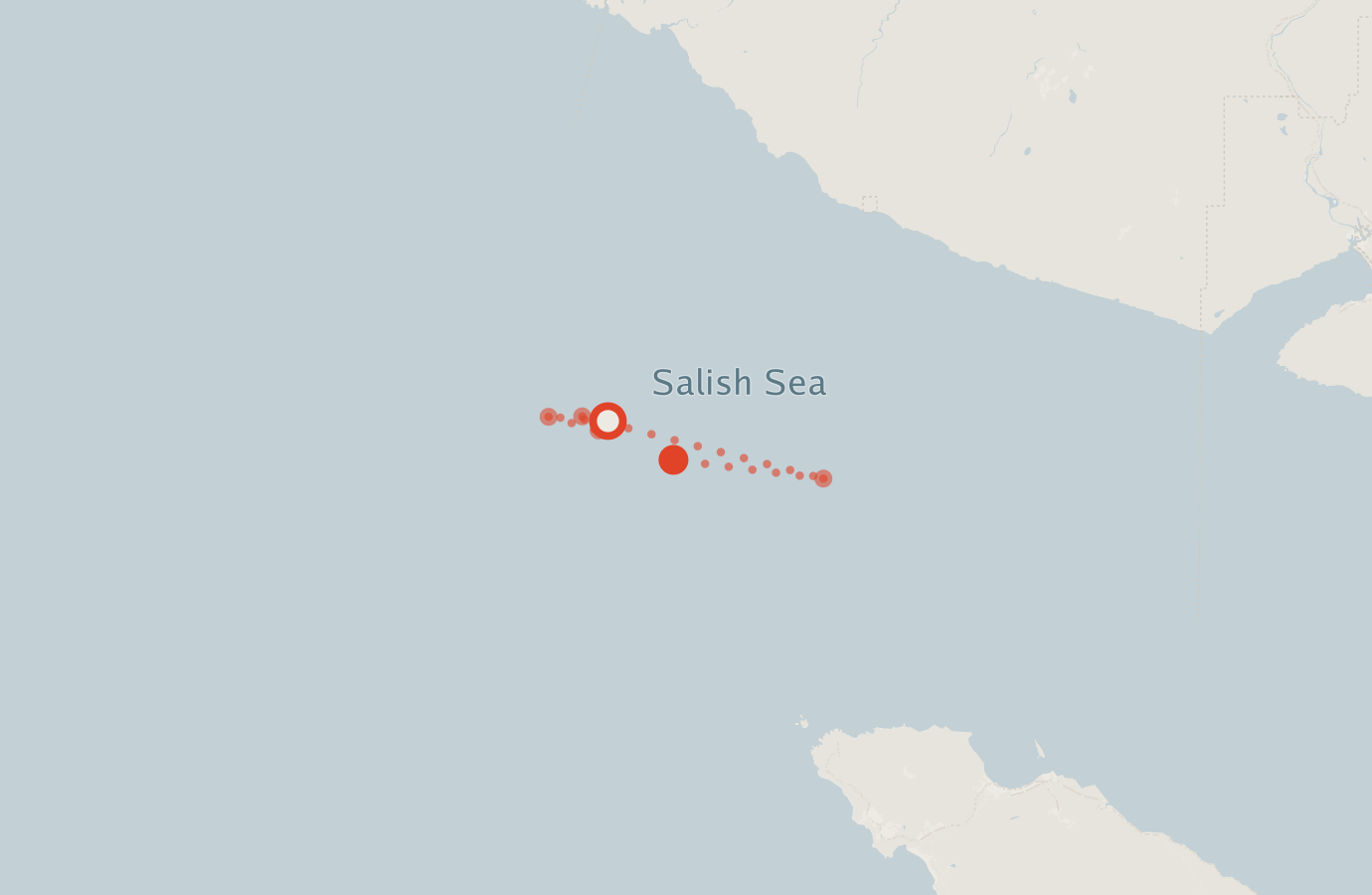 Activity map — real sighting points on an OpenStreetMap basemap