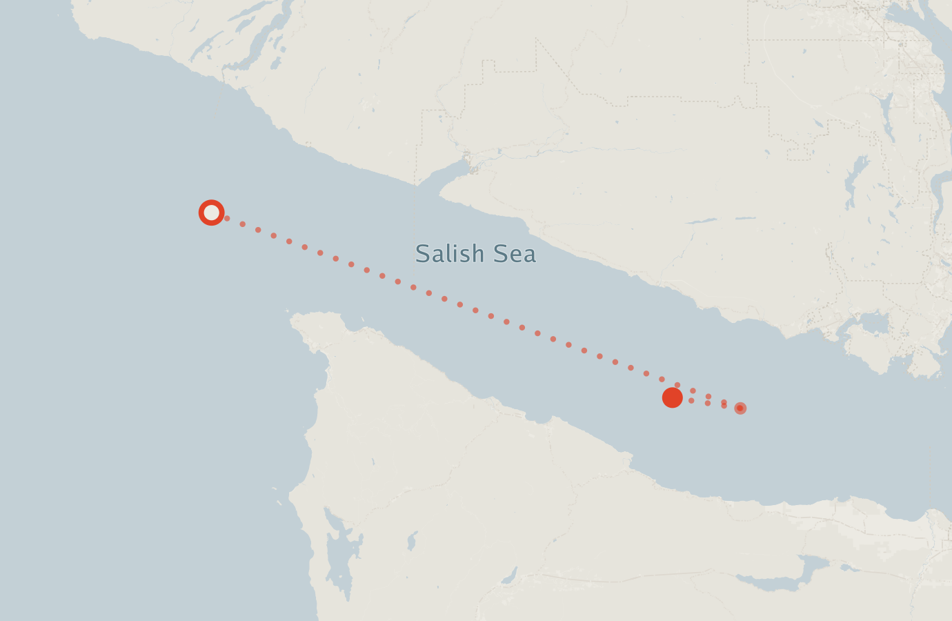 Activity map — real sighting points on an OpenStreetMap basemap