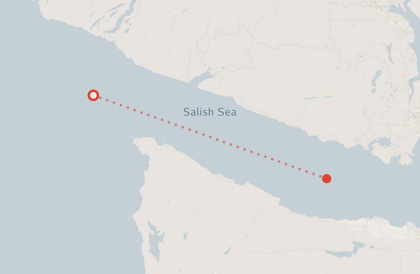 Activity map — real sighting points on an OpenStreetMap basemap