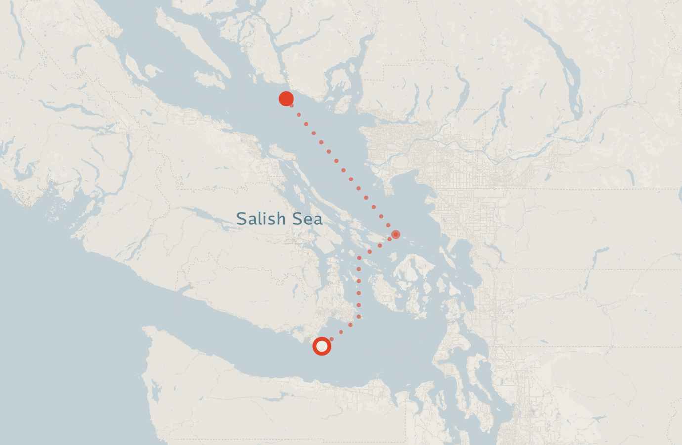 Activity map — real sighting points on an OpenStreetMap basemap