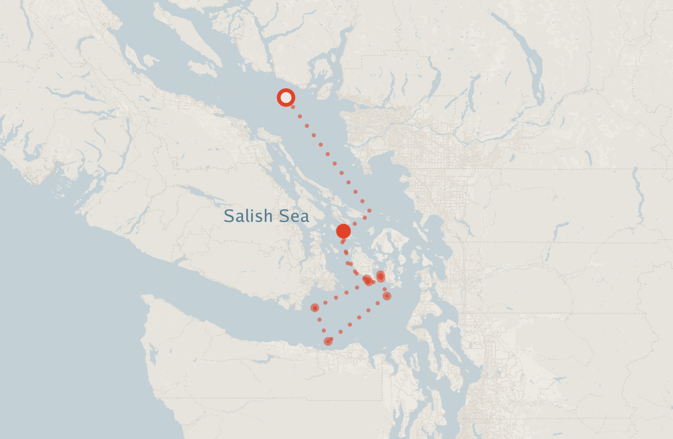 Activity map — real sighting points on an OpenStreetMap basemap