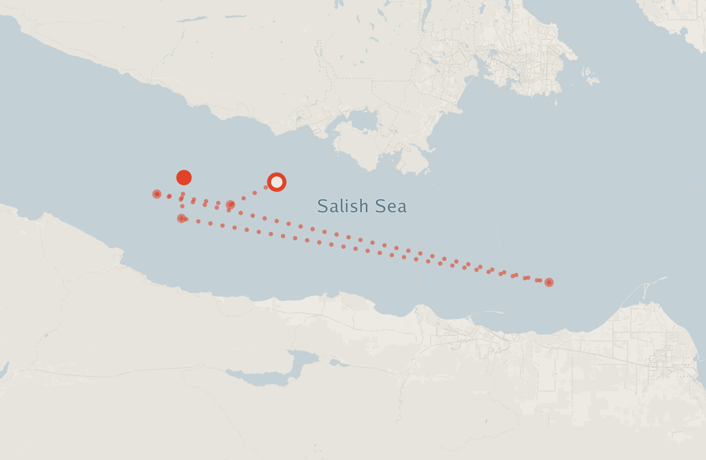 Activity map — real sighting points on an OpenStreetMap basemap