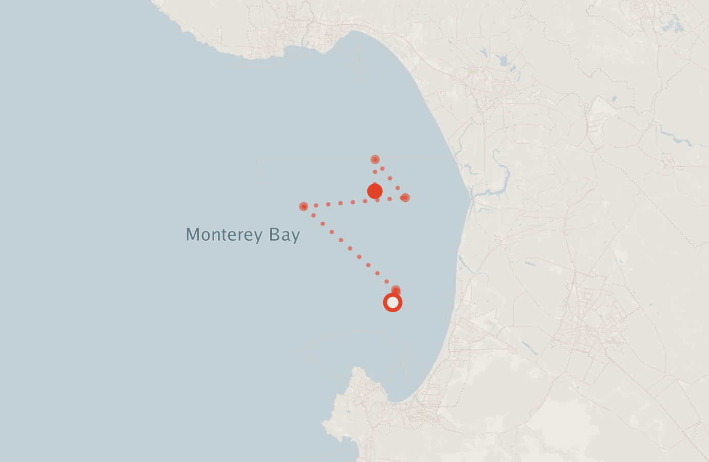 Activity map — real sighting points on an OpenStreetMap basemap