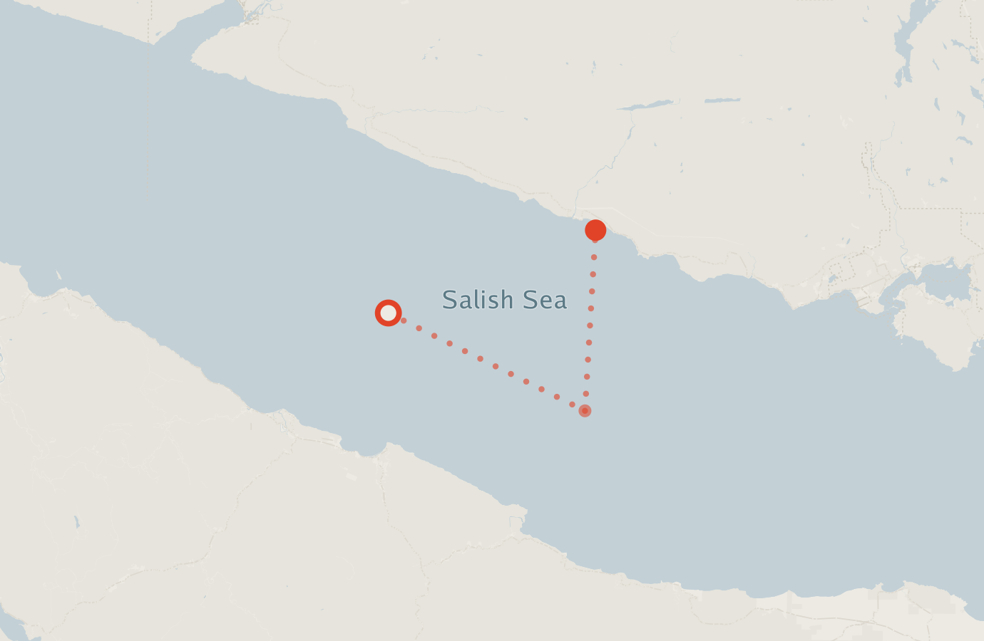 Activity map — real sighting points on an OpenStreetMap basemap