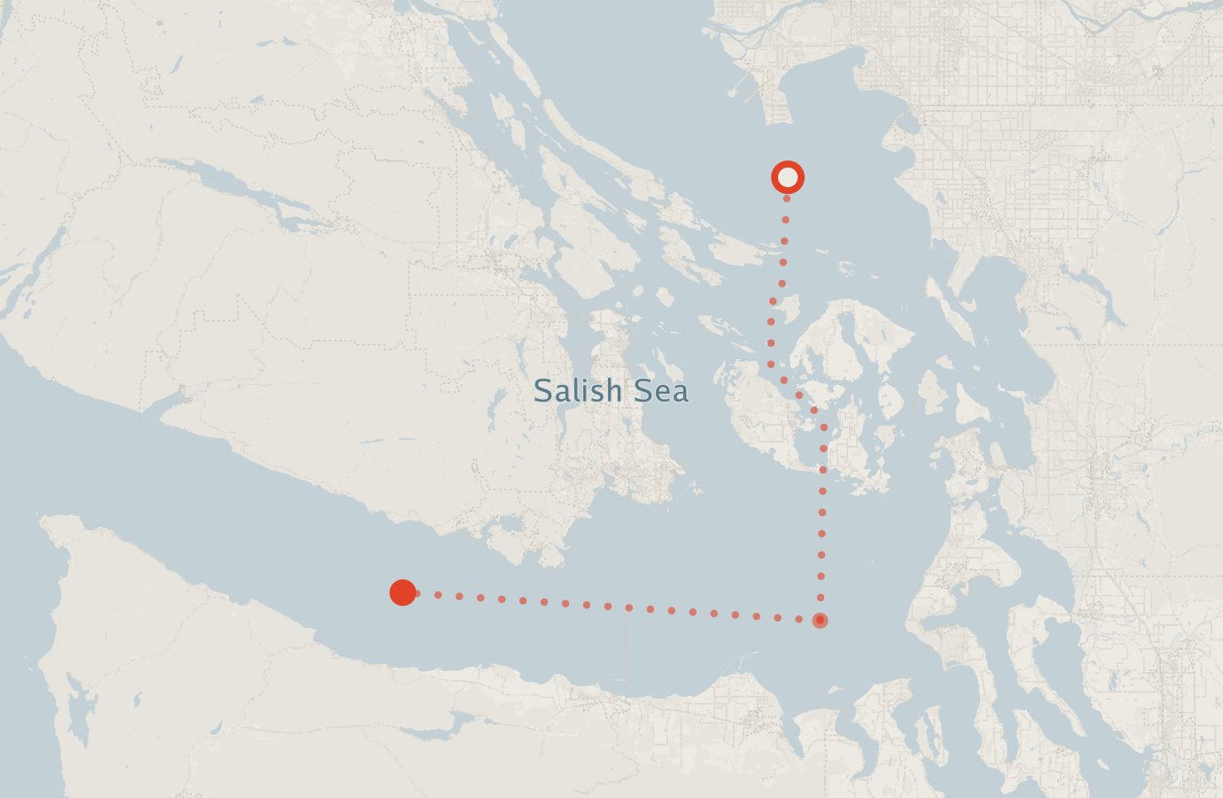 Activity map — real sighting points on an OpenStreetMap basemap