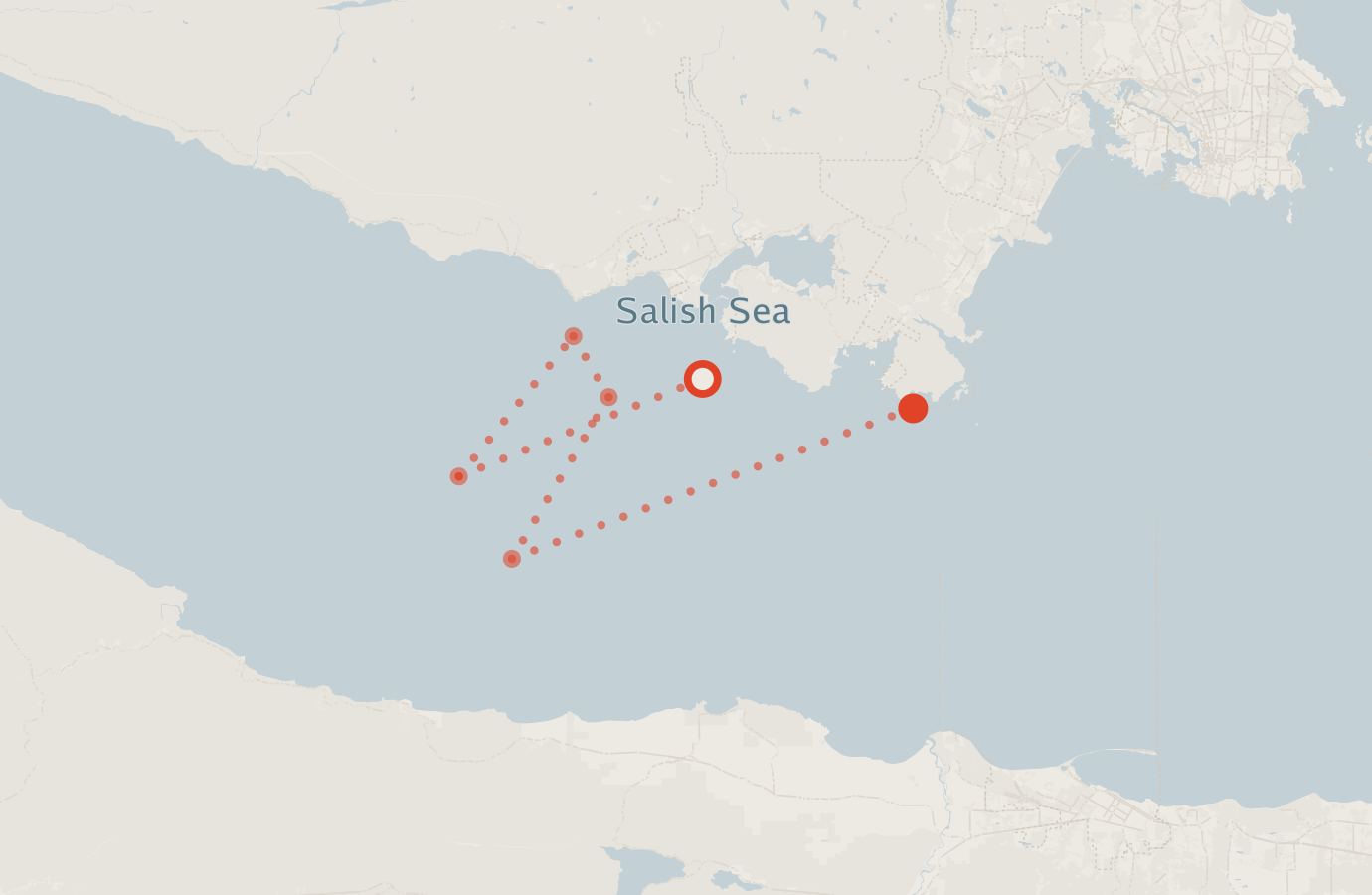 Activity map — real sighting points on an OpenStreetMap basemap