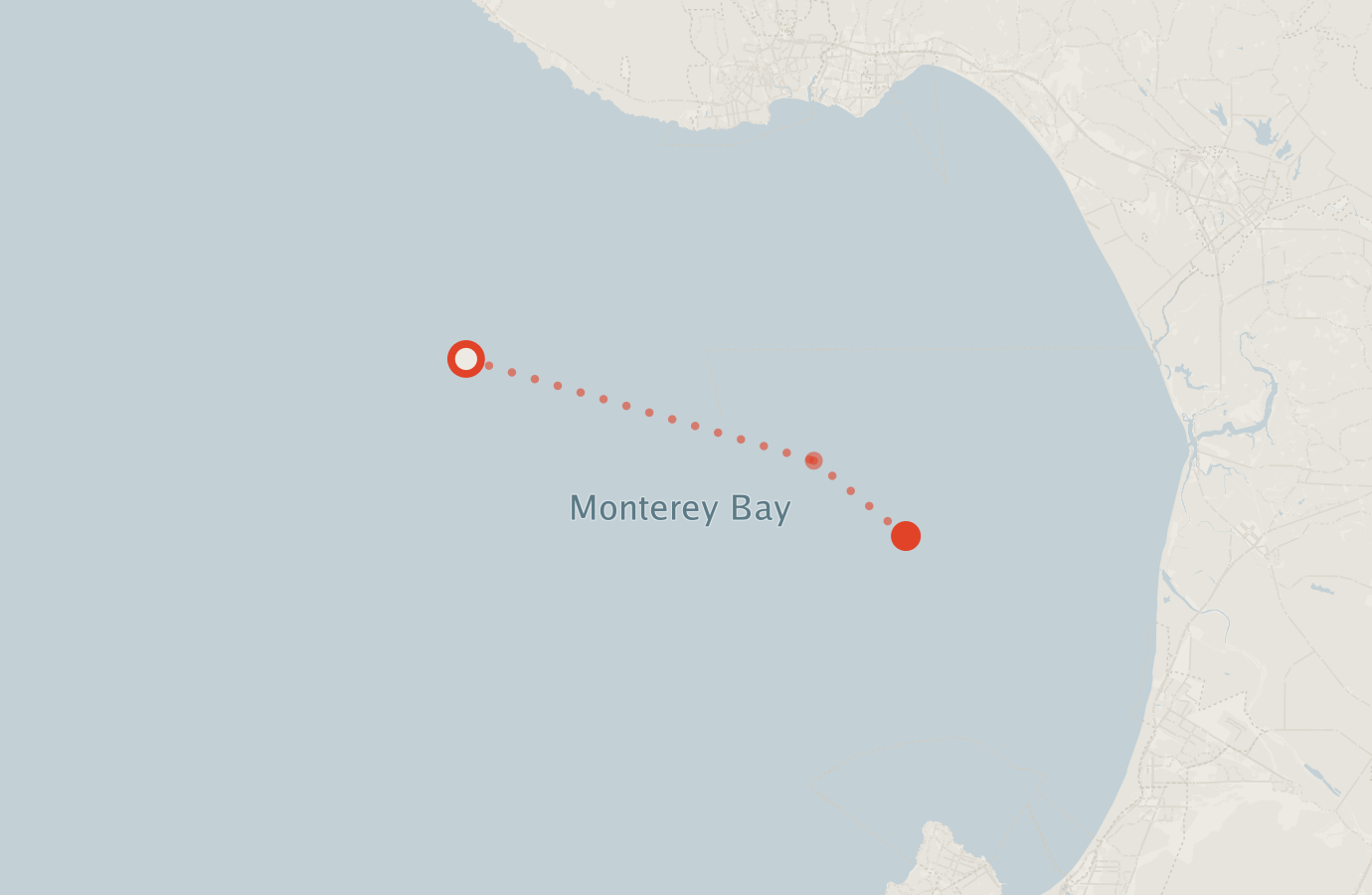 Activity map — real sighting points on an OpenStreetMap basemap